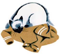 Suki the Siamese Pussy